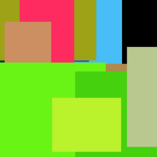 Lime White Bikini Internet