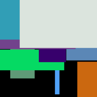 Internet Video Shampoo