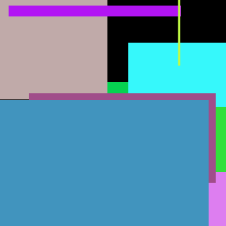 Tomato Shampoo Download