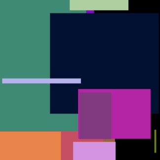 Hair Apple Egg Black