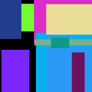 Shampoo Book Bikini Brown