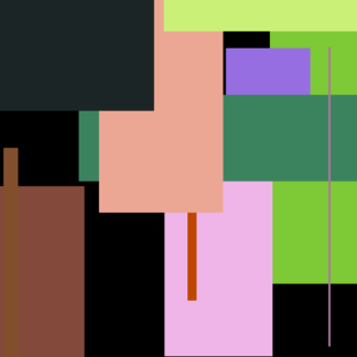 Cushion Seat Cleaner