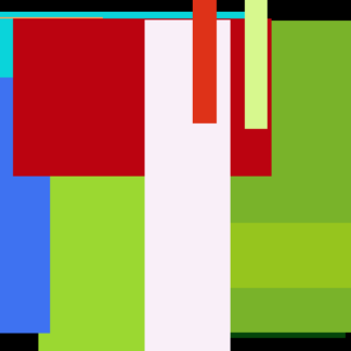 Large Shoe Strawberry