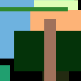 Medium Princess Carrot