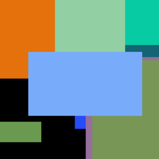 Microwave Shoe Shampoo