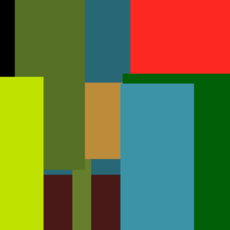 Sword Chicken Plastic Bike