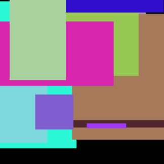 Black Grey Juice Chicken