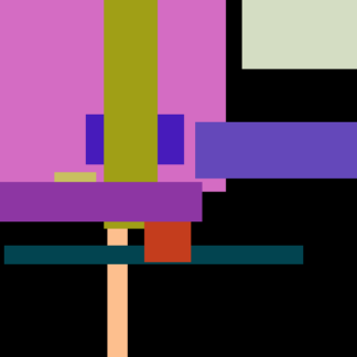 Water Shampoo Heater