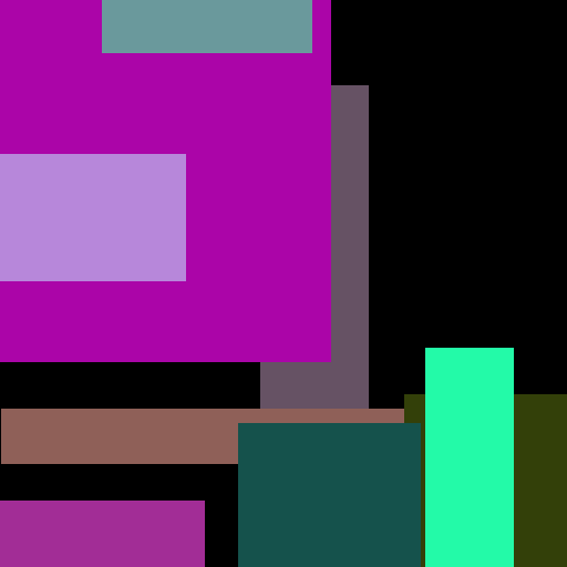 Shampoo Video Shower